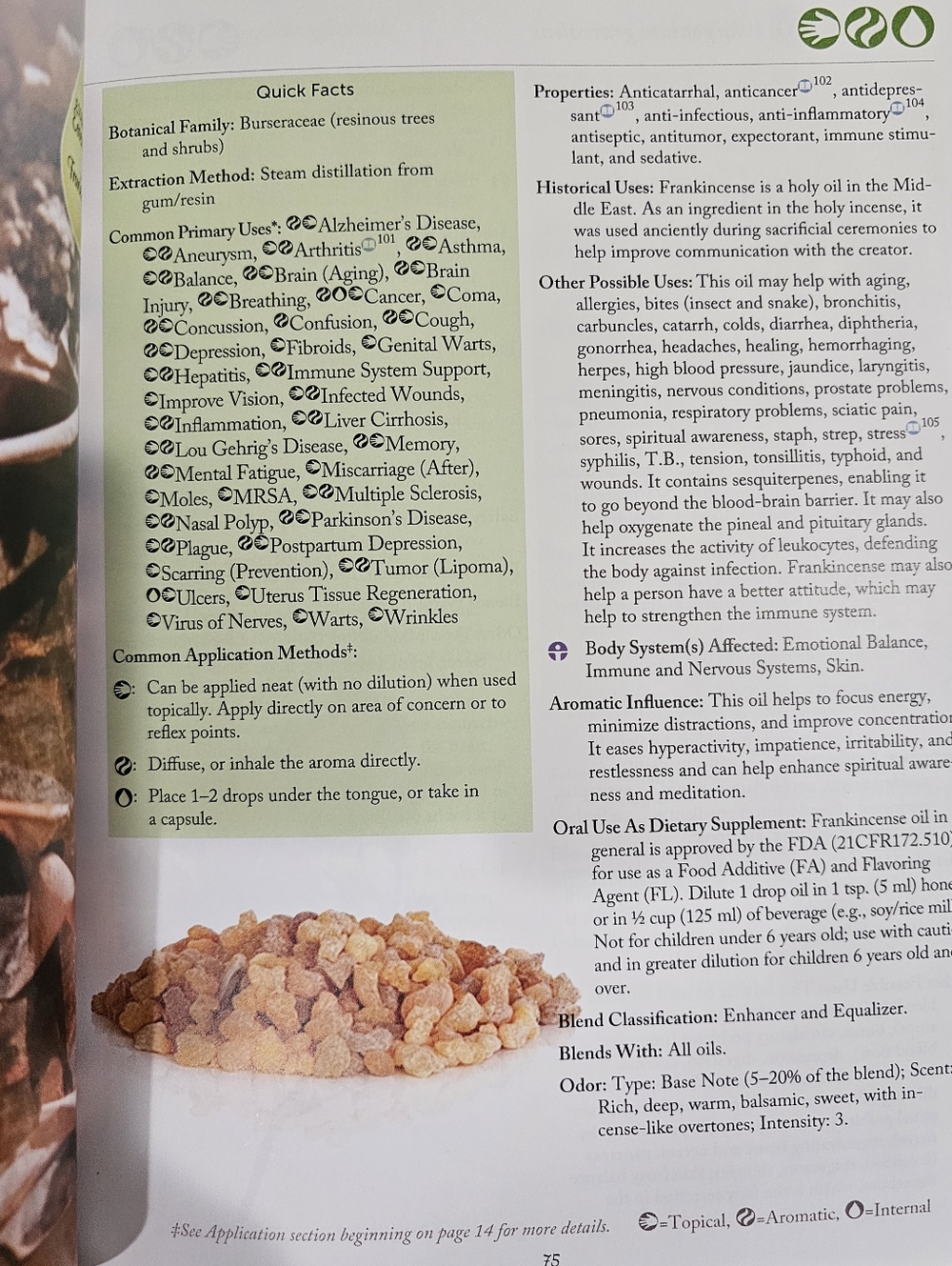 Modern Essentials Handbook - Picture 2 of 3